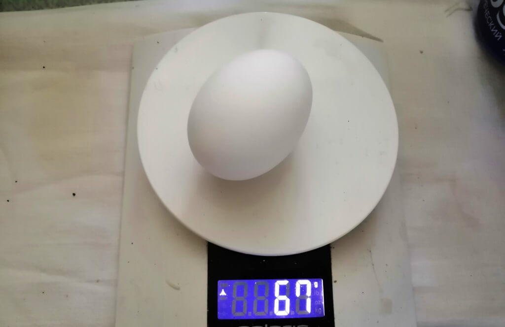 Снижение веса яиц