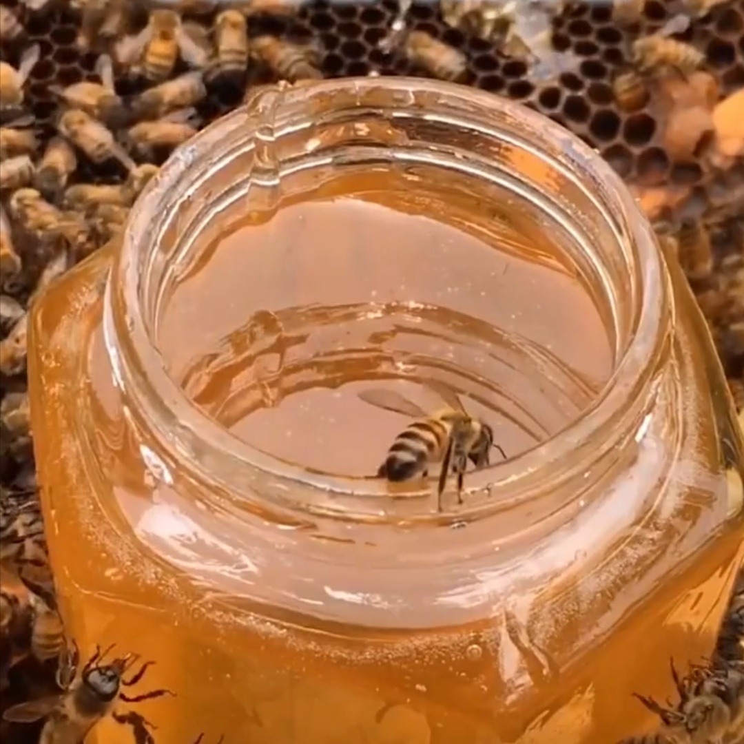 Банка мёда и пчела