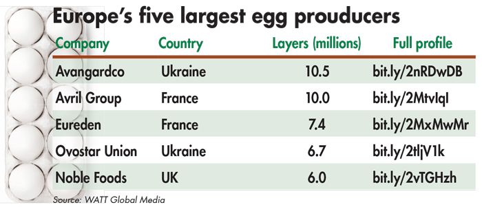 В рейтинге ведущих европейских производителей яиц доминируют французские и украинские компании