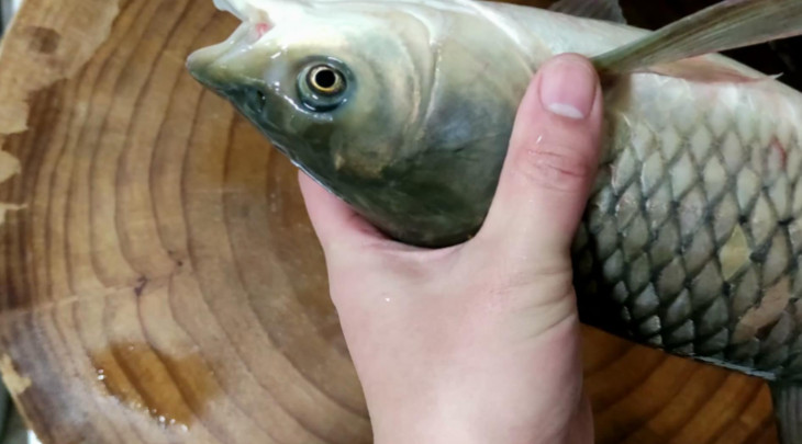 Проверяем свежесть рыбы глаза