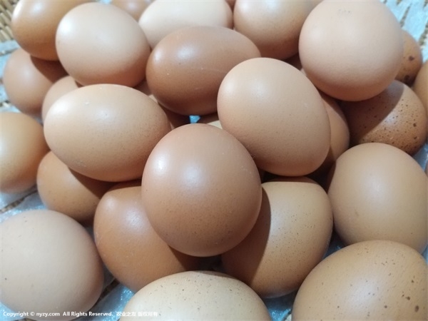 Технология охлаждения свежих яиц
